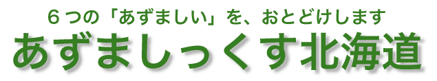 ソーシャルマーケティングで日本の未来を切り開く｜あずましっくす北海道